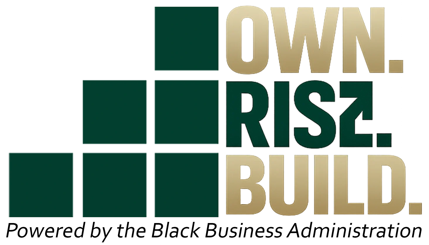 ownrisebuild